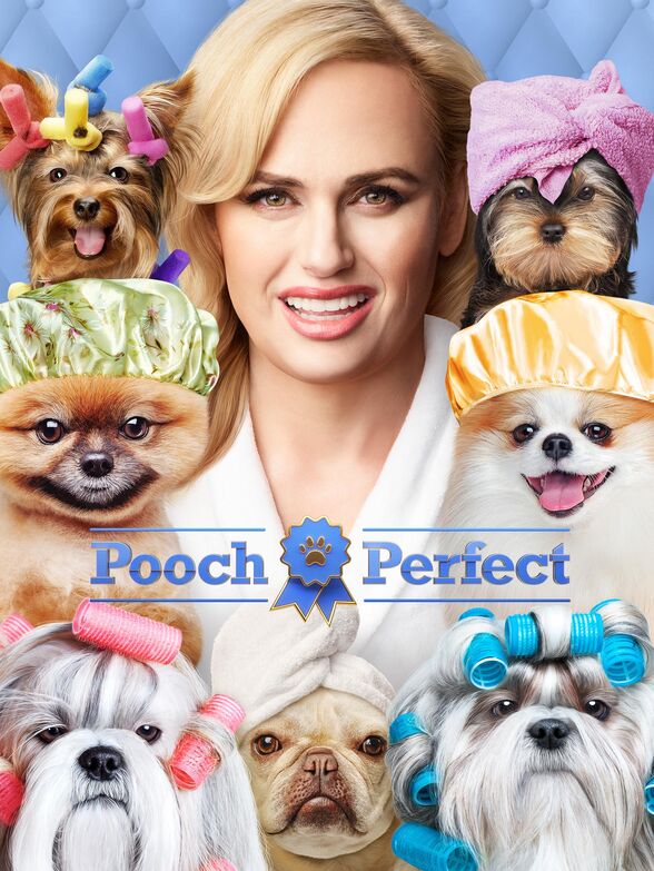 Pooch Perfect: different but interesting