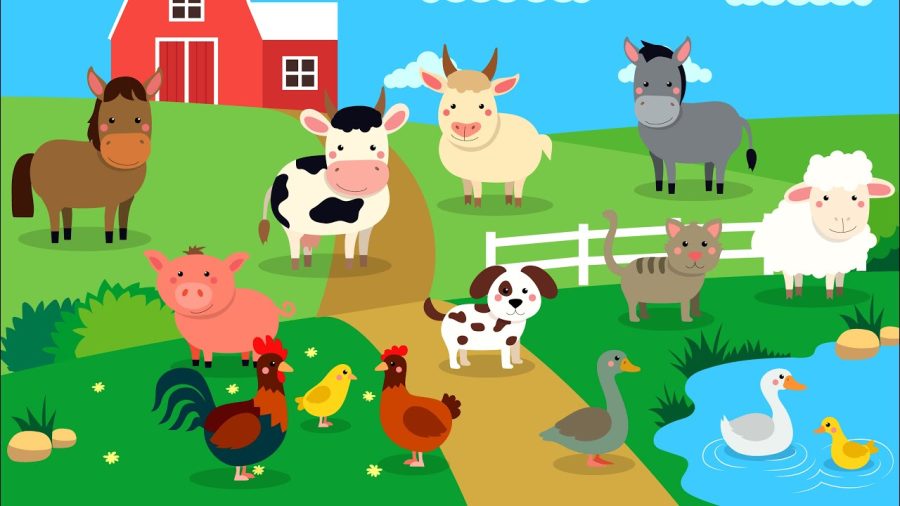 Top ten farm animals