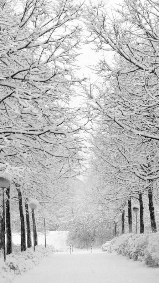 Winter Wonderland, a poem