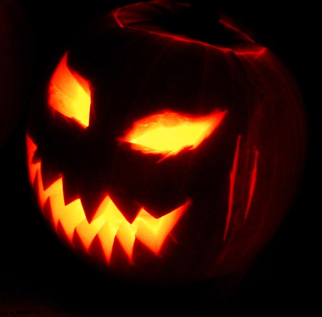 Survey: What is your favorite Halloween tradition?