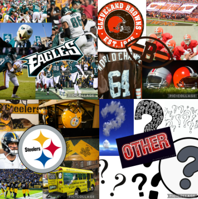 Poll: What is your favorite football team?