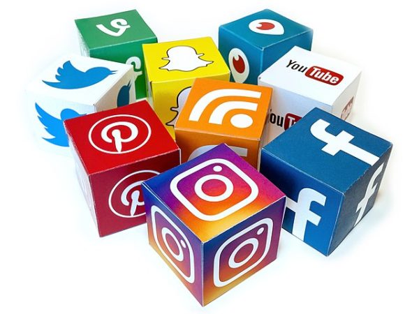 Survey: Which social media platform is preferred?
