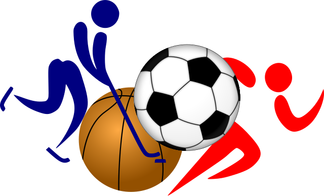 Favorite seasonal sports