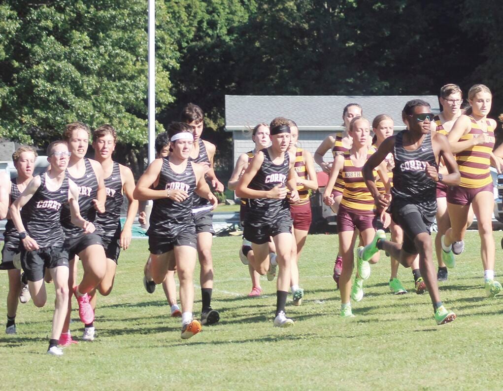 Cross Country compete at Districts