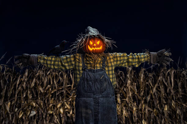 The Cornrow Scarecrow