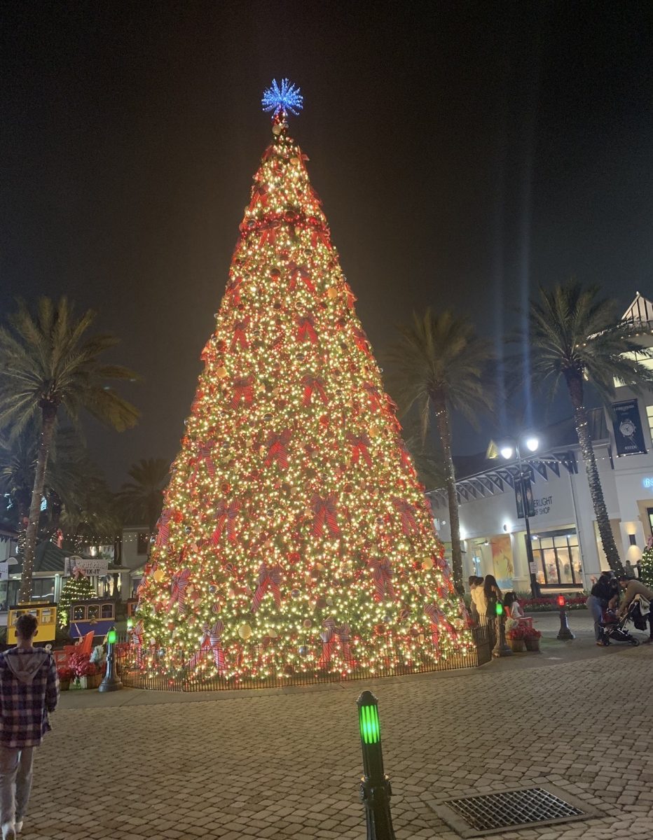 The traditions that make Christmas magic: What our survey reveals