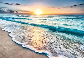 Day at the beach
