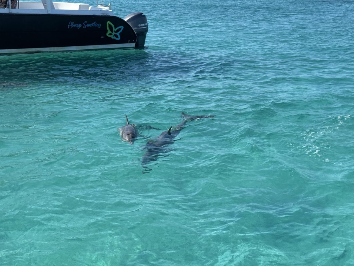 Turks and Caicos