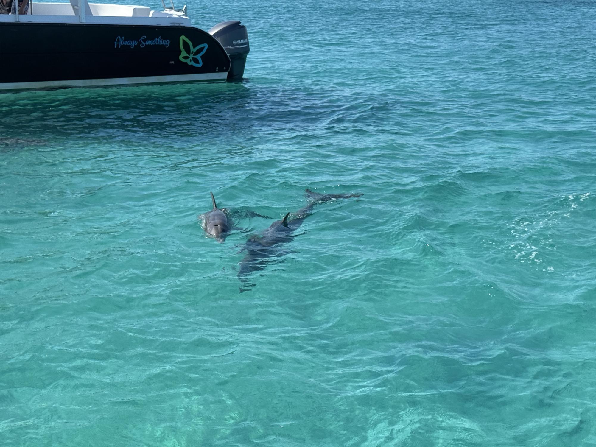 Turks and Caicos