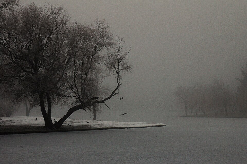 The Silence Below